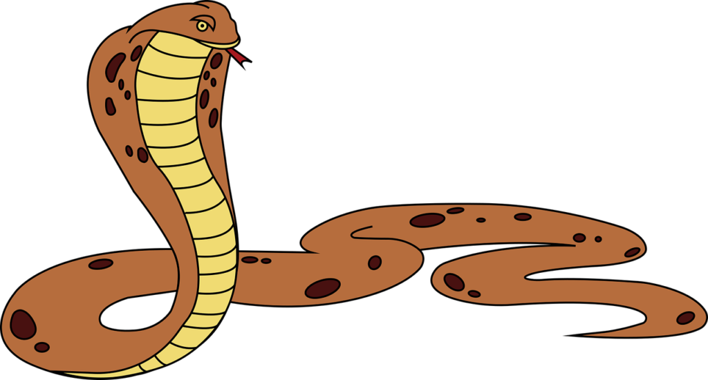 "The Snake" Question Answer ENG A WBCHSE 11