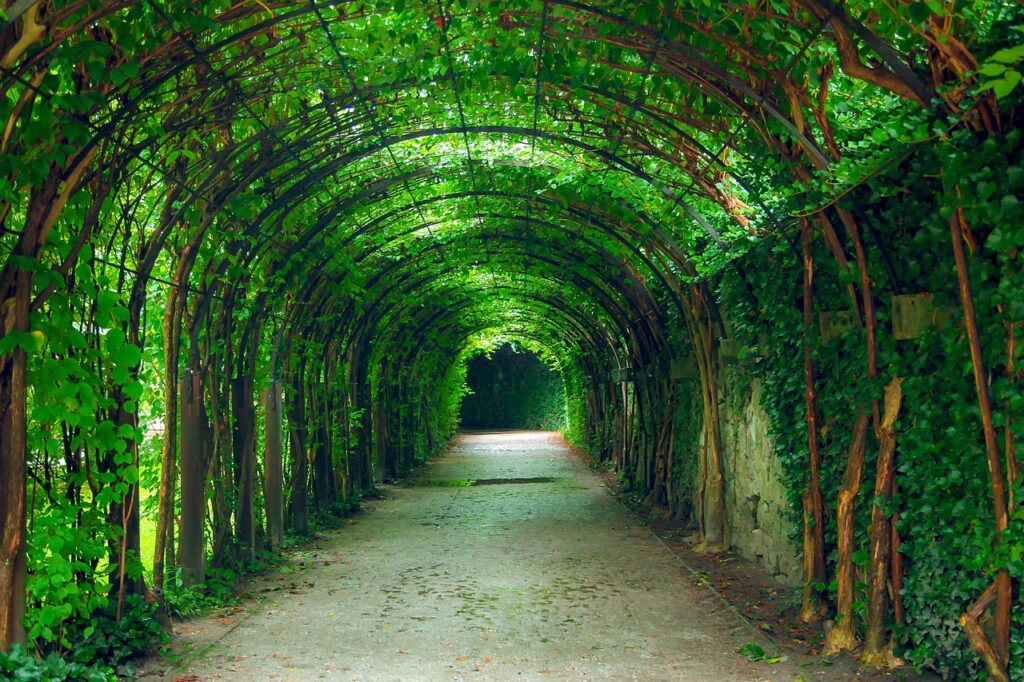 "Through the Tunnel" Question Answer ENG A WBCHSE Class 11