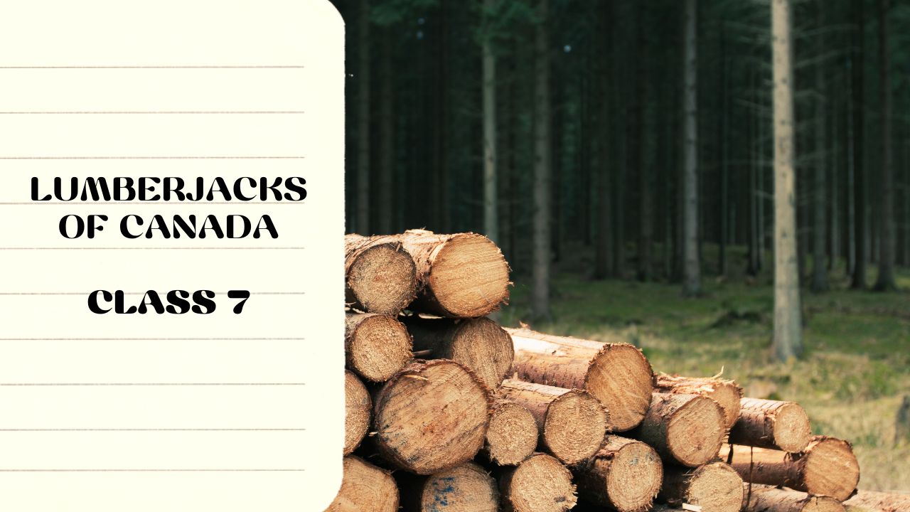 Lumberjacks of Canada Question and Answer | ICSE Class 7
