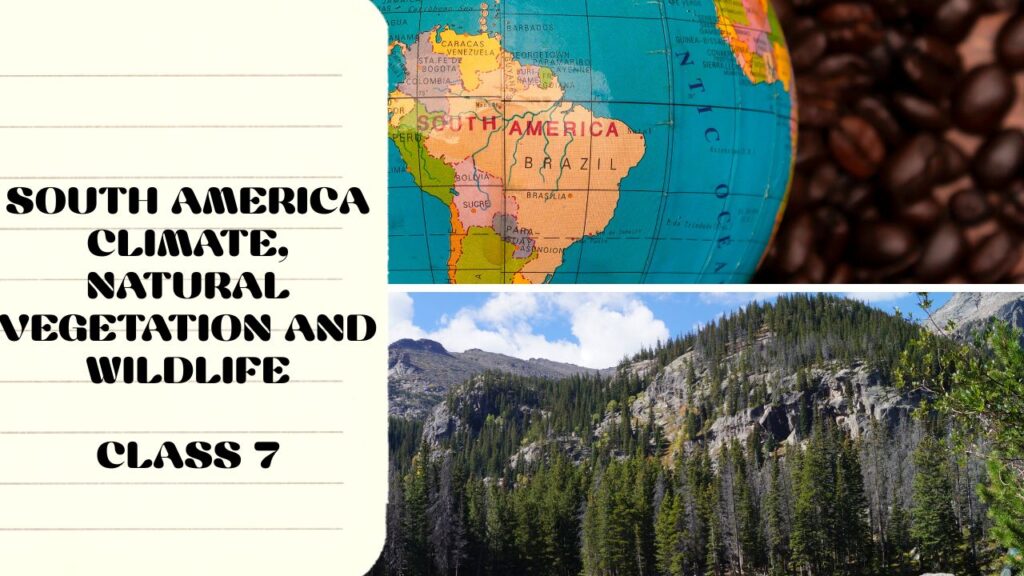 South America Climate, Natural Vegetation and Wildlife Question and Answer | ICSE Class 7