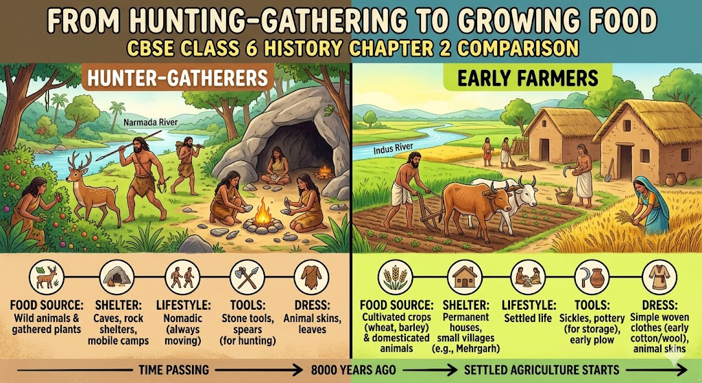 Comparison infographic of Class 6 History Chapter 2: Nomadic Hunter-Gatherers using stone tools vs. Settled Early Farmers with agriculture and houses