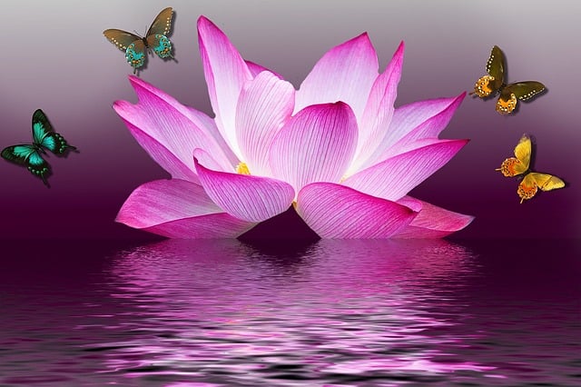 Lotus by Toru Dutt summary, analysis, themes, and literary devices